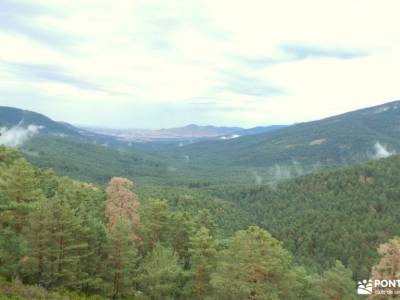 Monte Valsaín-Colada Fuenfría; excursion senda de camille parque mariola la peñota desembocadura del